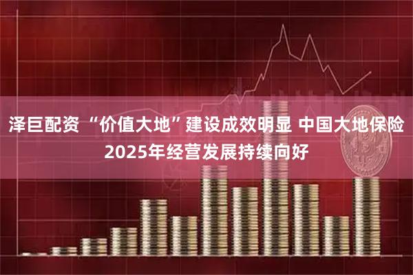泽巨配资 “价值大地”建设成效明显 中国大地保险2025年经营发展持续向好