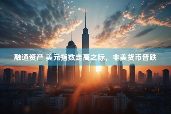 融通资产 美元指数走高之际，非美货币普跌